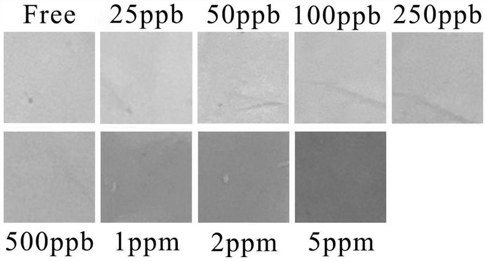 Formaldehyde detection test paper based on nano-composite fiber and preparation method and application thereof