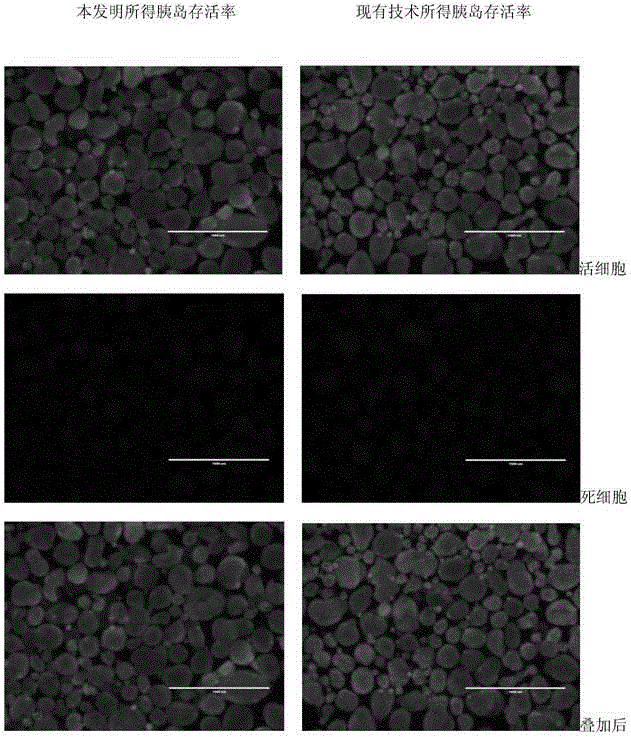 A kind of injection preparation before islet extraction from newborn pig pancreas