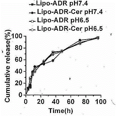 Drug-loading nano-liposome, and preparation method and application thereof