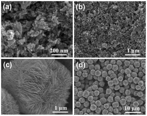 Dual-layer zinc oxide photoanode structure and photovoltaic application