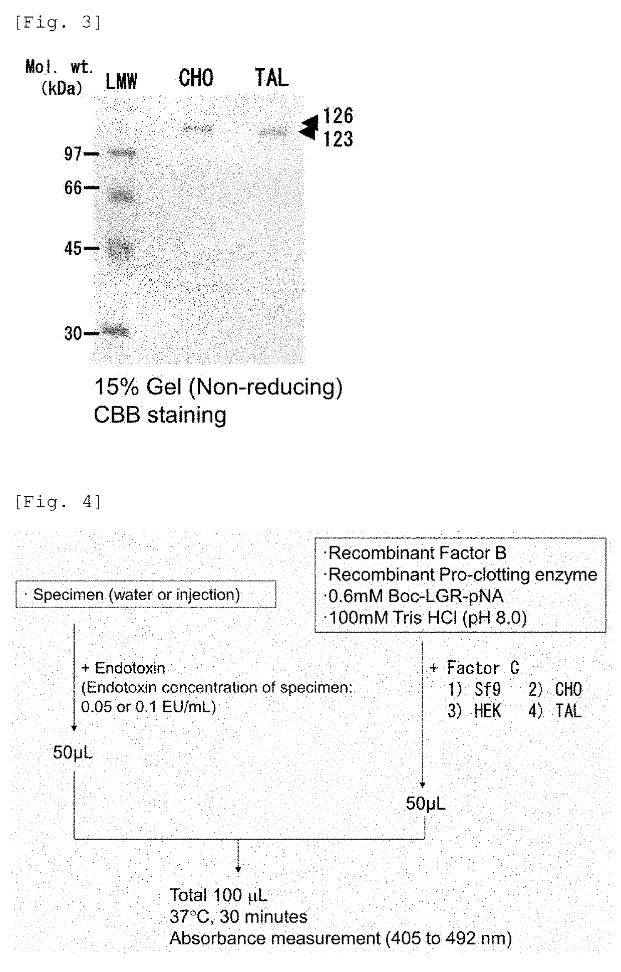 Novel recombinant factor c and method for producing the same, and method for measuring endotoxin