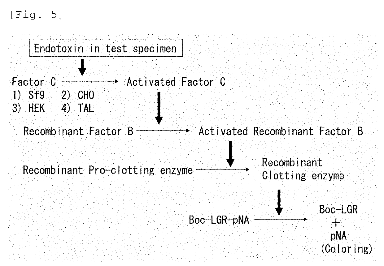 Novel recombinant factor c and method for producing the same, and method for measuring endotoxin