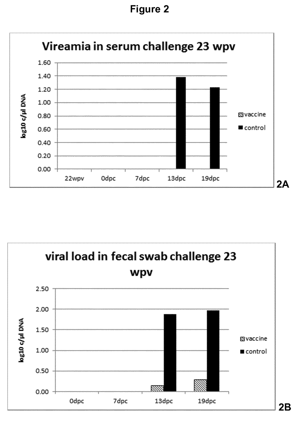 Vaccine against porcine circo virus type 2