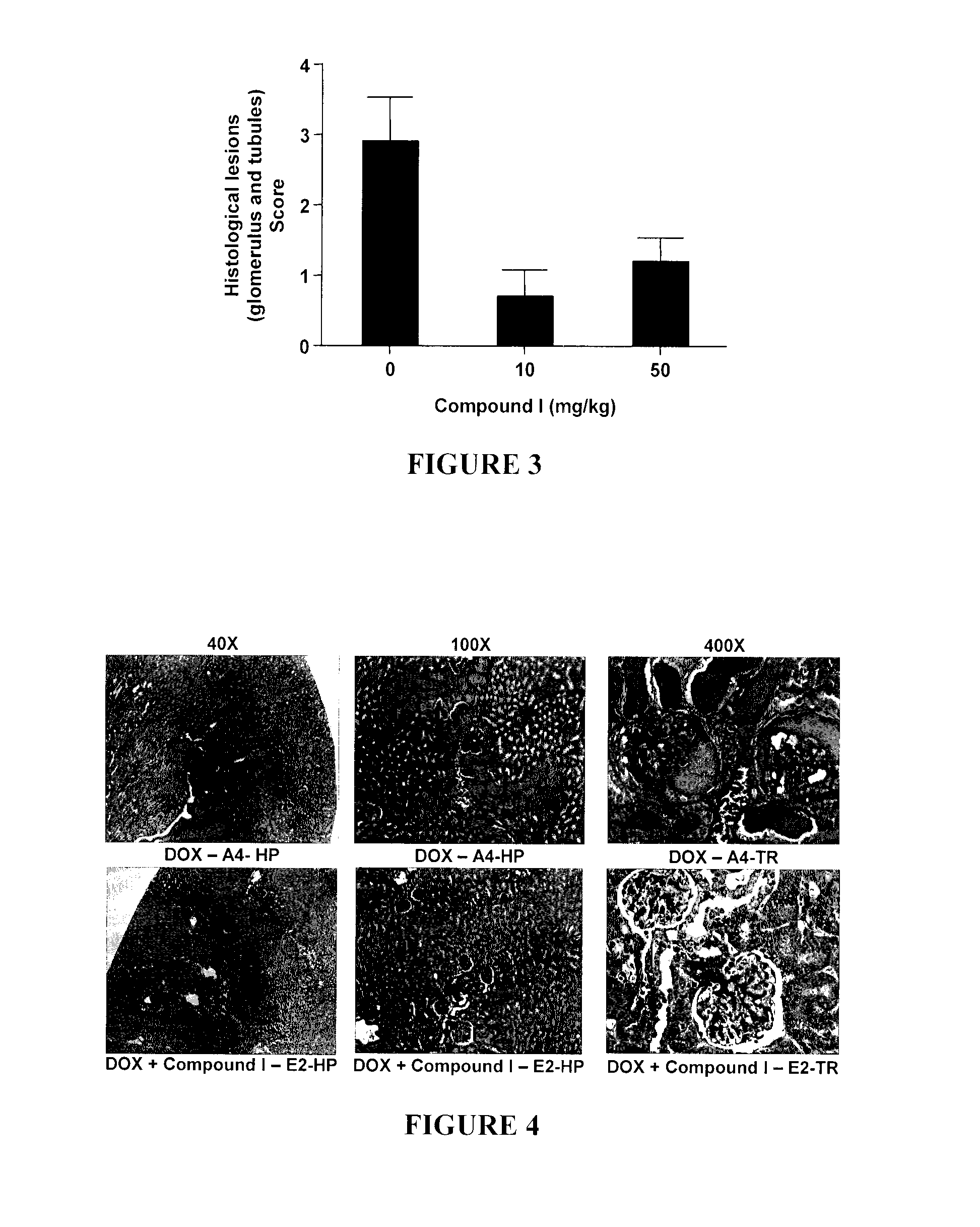 Phenylketone Carboxylate Compounds and Pharmaceutical Uses Thereof