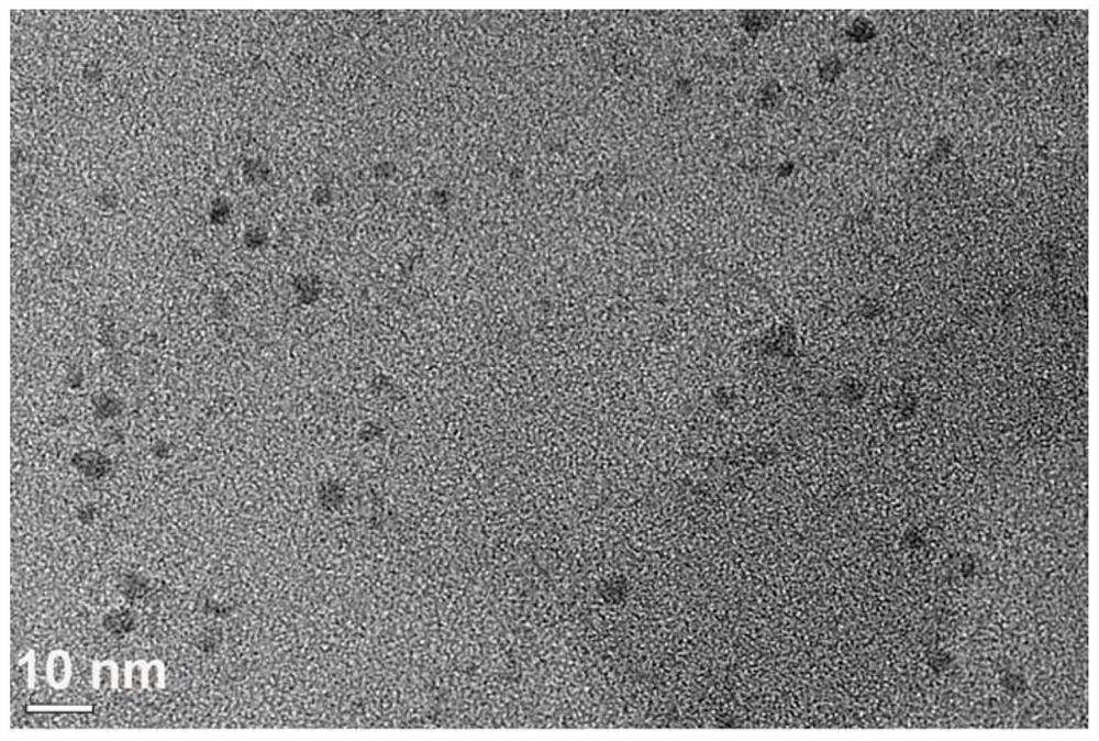 Synthesis method, product and application of C3N4 quantum dot room-temperature phosphorescent material