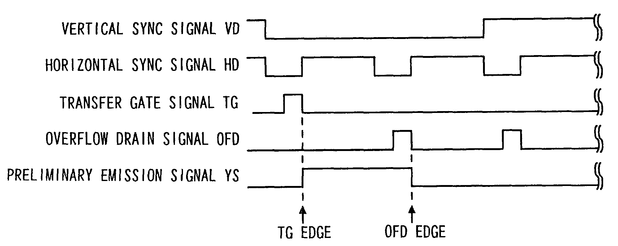 Electronic flash device and camera having the same
