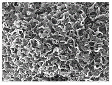 Method for synthesizing novel thin layer ZSM-5 zeolite with boron-containing framework