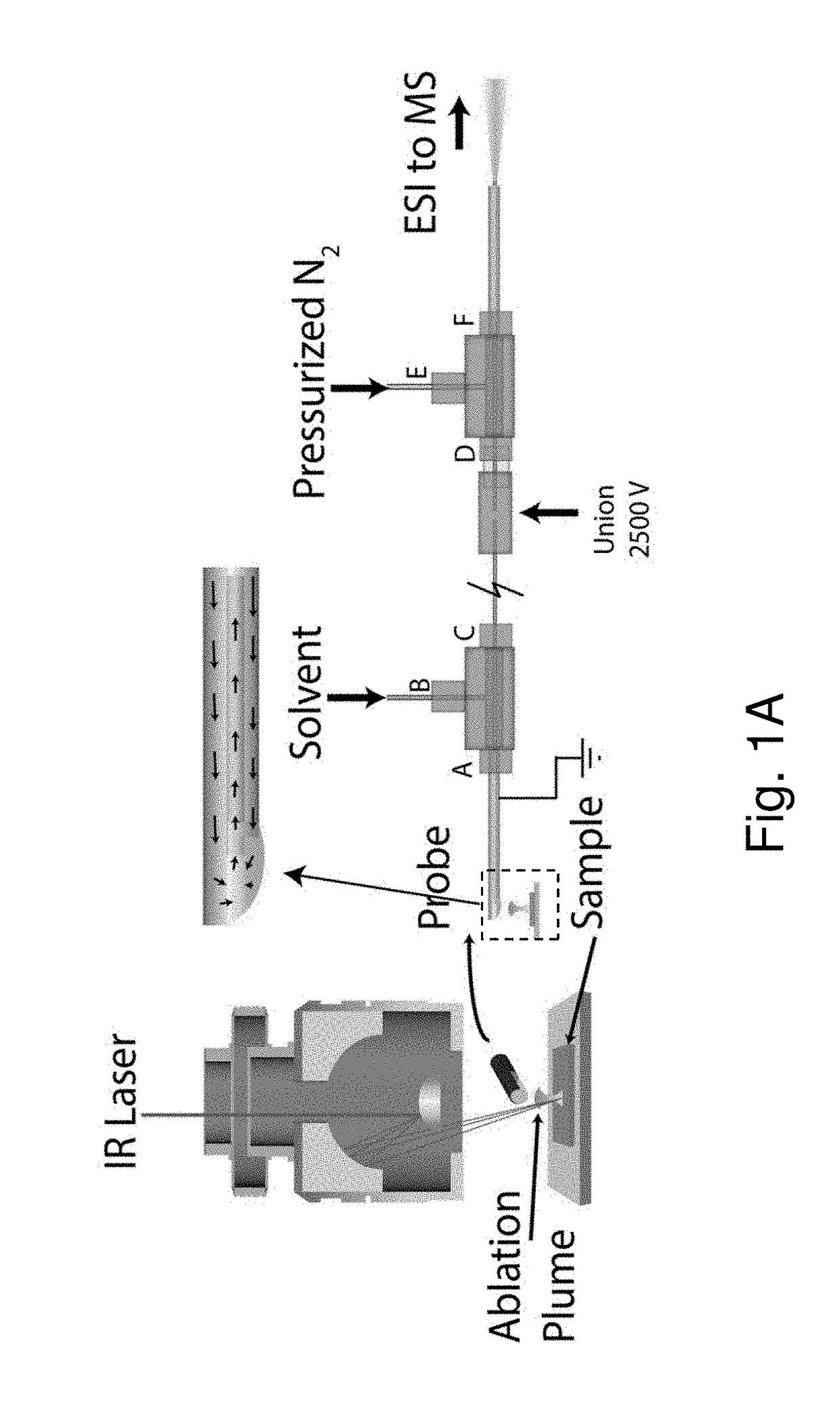 Ambient infrared laser ablation mass spectrometry (AIRLAB-MS) with plume capture by continuous flow solvent probe