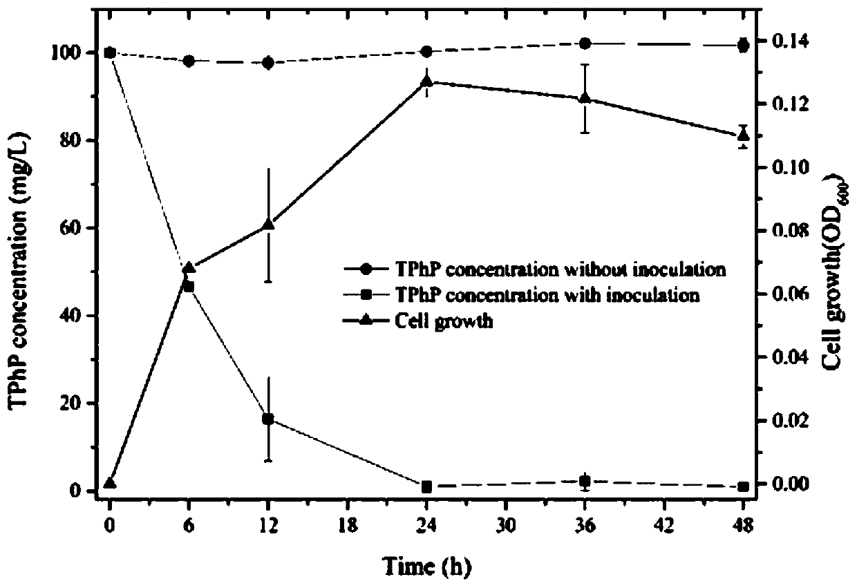Sphingobium yanoikuyae with function of degrading triphenyl phosphate