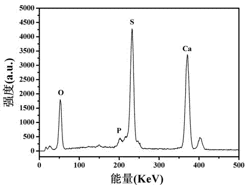 Biomedical anhydrous Ca(HPO4)x(SO4)(1-x) solid solution granule and preparation method thereof