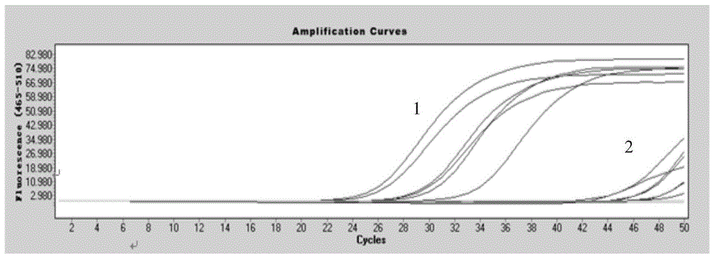 A composition for detecting lung cancer hotspot mutation gene and its application method