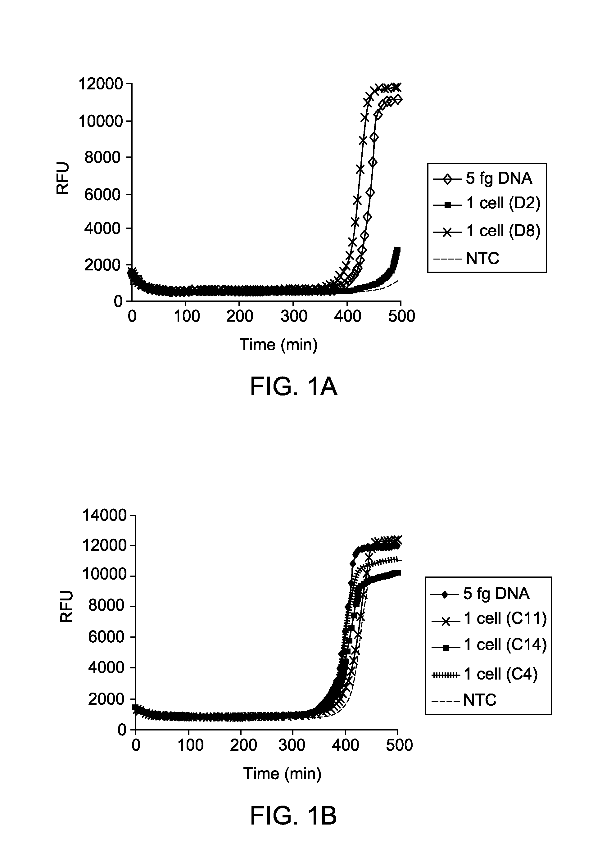Isothermal amplification under low salt condition