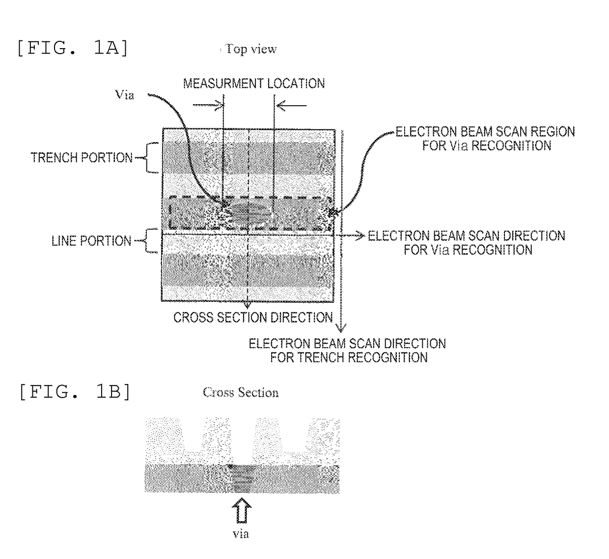 Charged Particle Beam Device