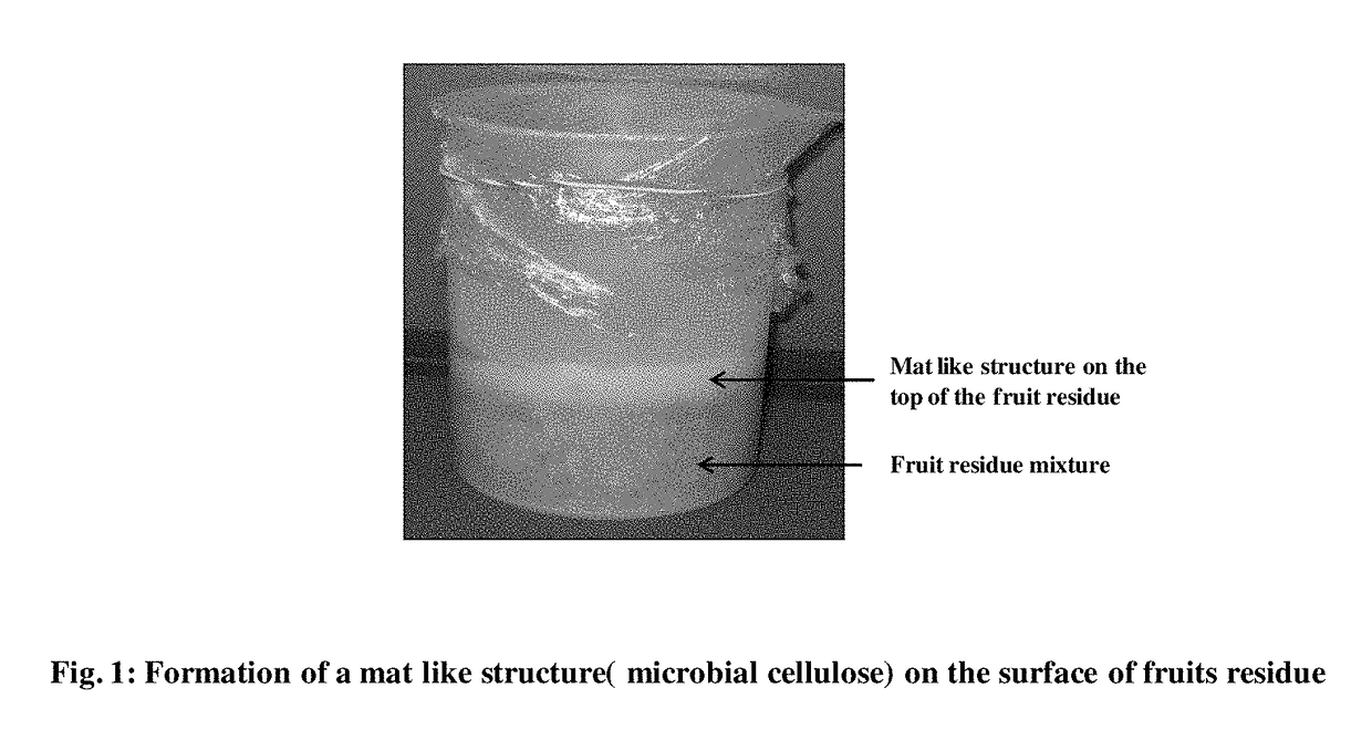 Isolated bacterial strain of gluconacetobacter oboediens and an optimized economic process for microbial cellulose production therefrom