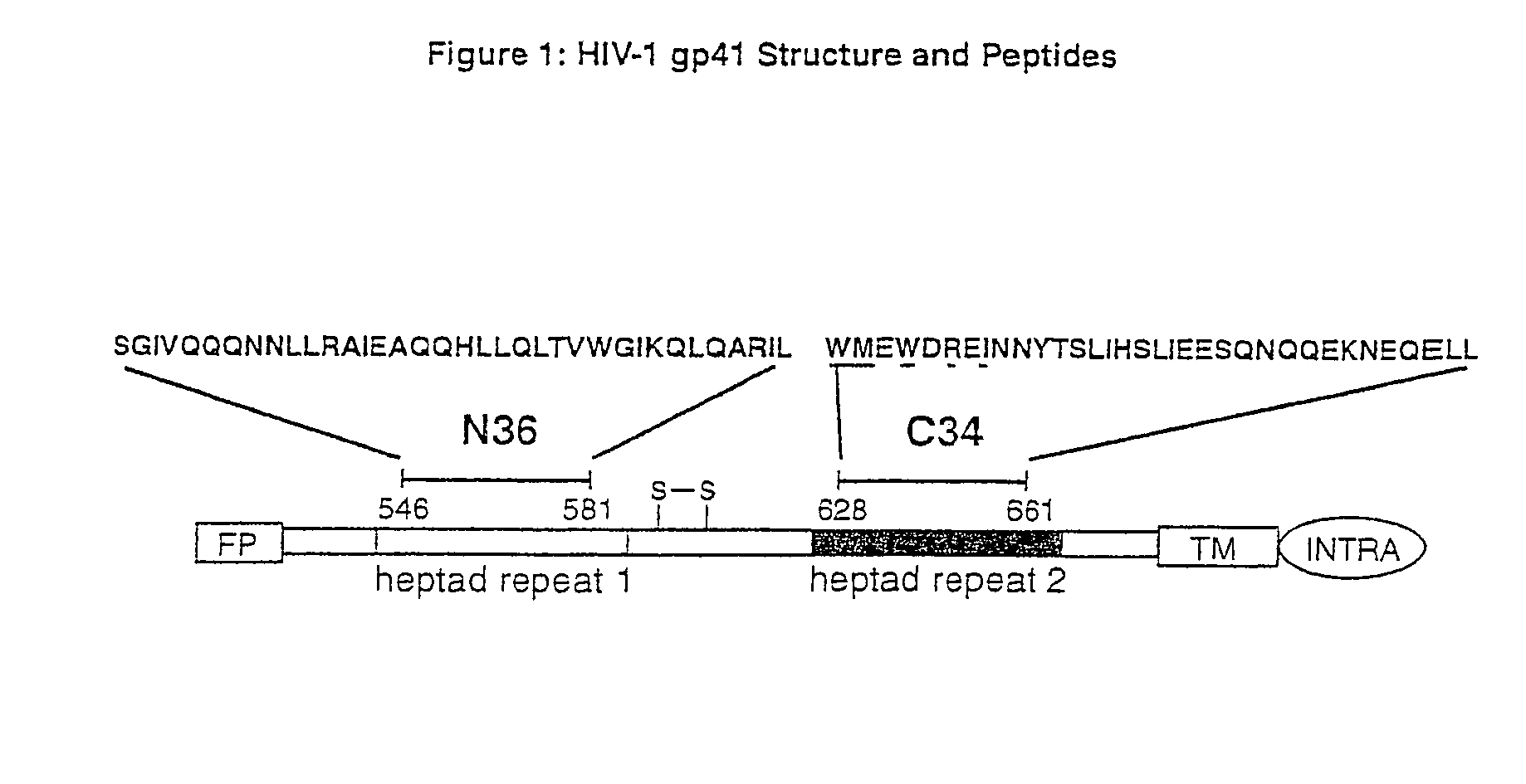 Inhibitors of HIV membrane fusion