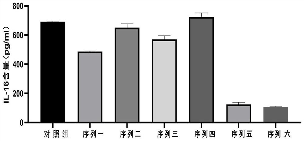 SgRNA and plasmid group of targeted IL-16 gene, gene knockout method and application thereof