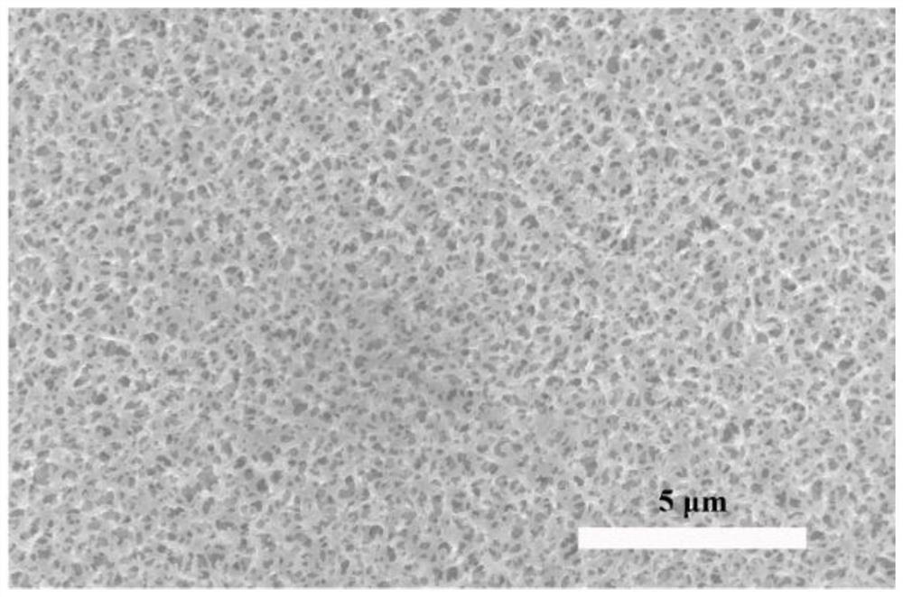 Polyarylether compound and preparation method thereof, polyarylether-hydrogel composite porous membrane and preparation method and application thereof