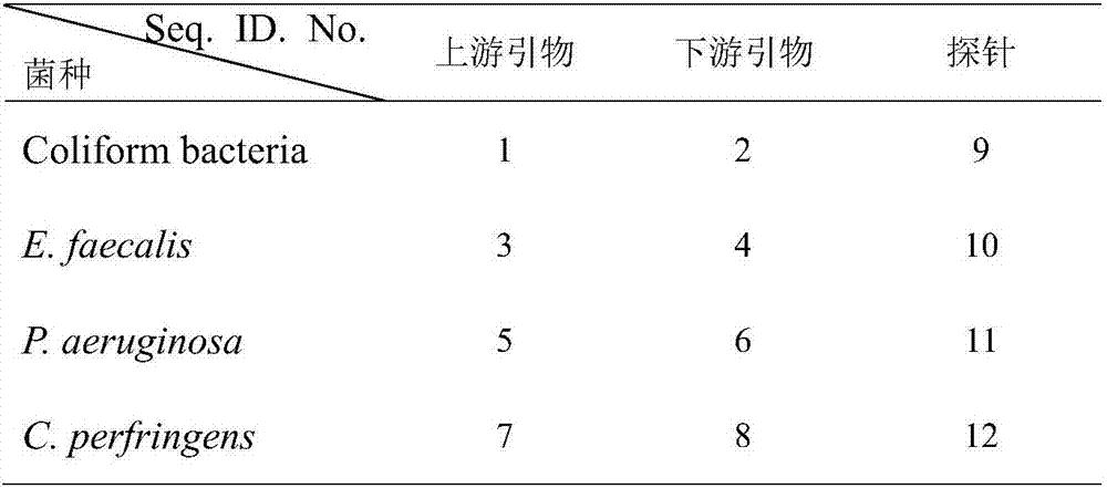 Quadruple fluorescent PCR primer set, probe set, kit and method for detecting four pathogenic bacteria in drinking water