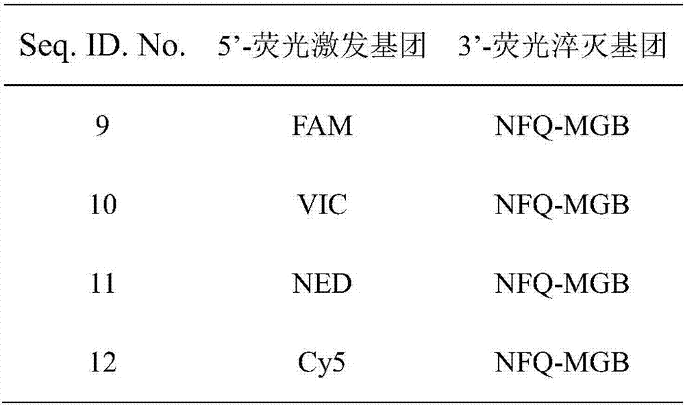 Quadruple fluorescent PCR primer set, probe set, kit and method for detecting four pathogenic bacteria in drinking water