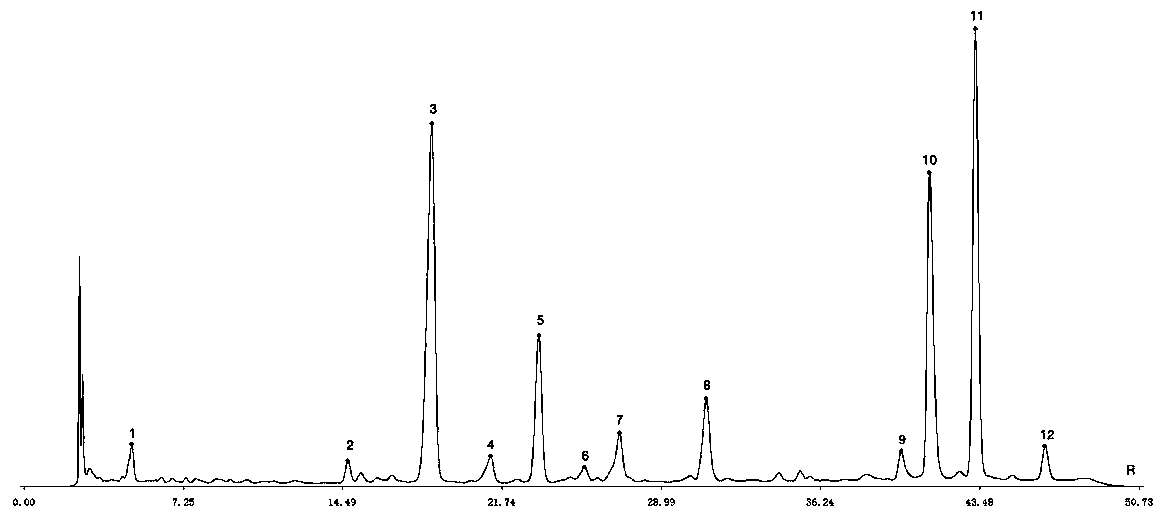 Phenformin oral liquid fingerprint spectrum detection method and fingerprint spectrum thereof