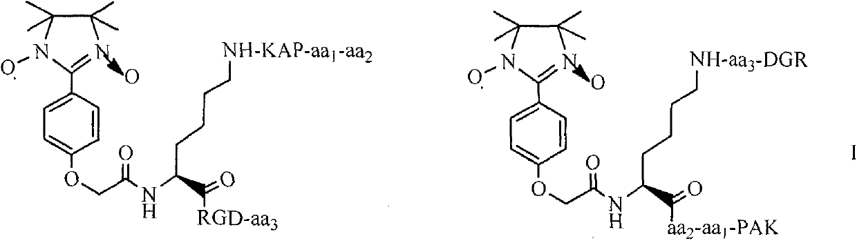 Pentamethoxytryptamine carbonylpropionyl-rpak peptide, its preparation, activity and application