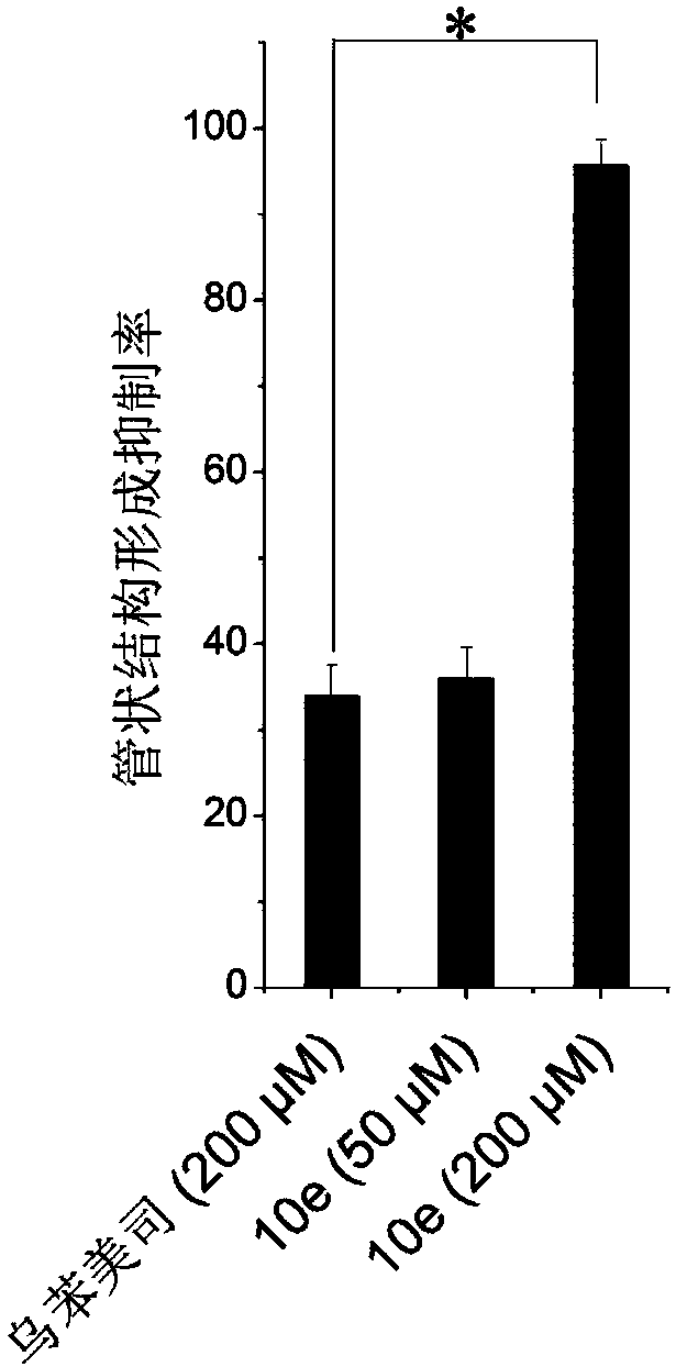 Pyrazoline aminopeptidase N inhibitors as well as preparation method and application thereof