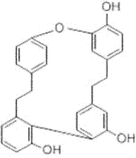 Plagiochin nanocrystal preparation and preparation method thereof