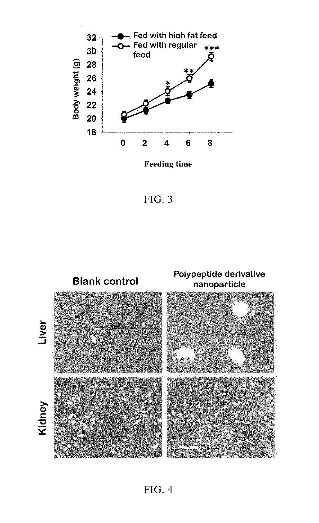 Adipose Tissue-Targeting Polypeptide-Verbascoside-Nanogold Particle Derivative, Preparation Method and Application Thereof