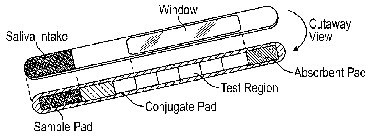 A test device for detecting an analyte in a saliva sample and method of use