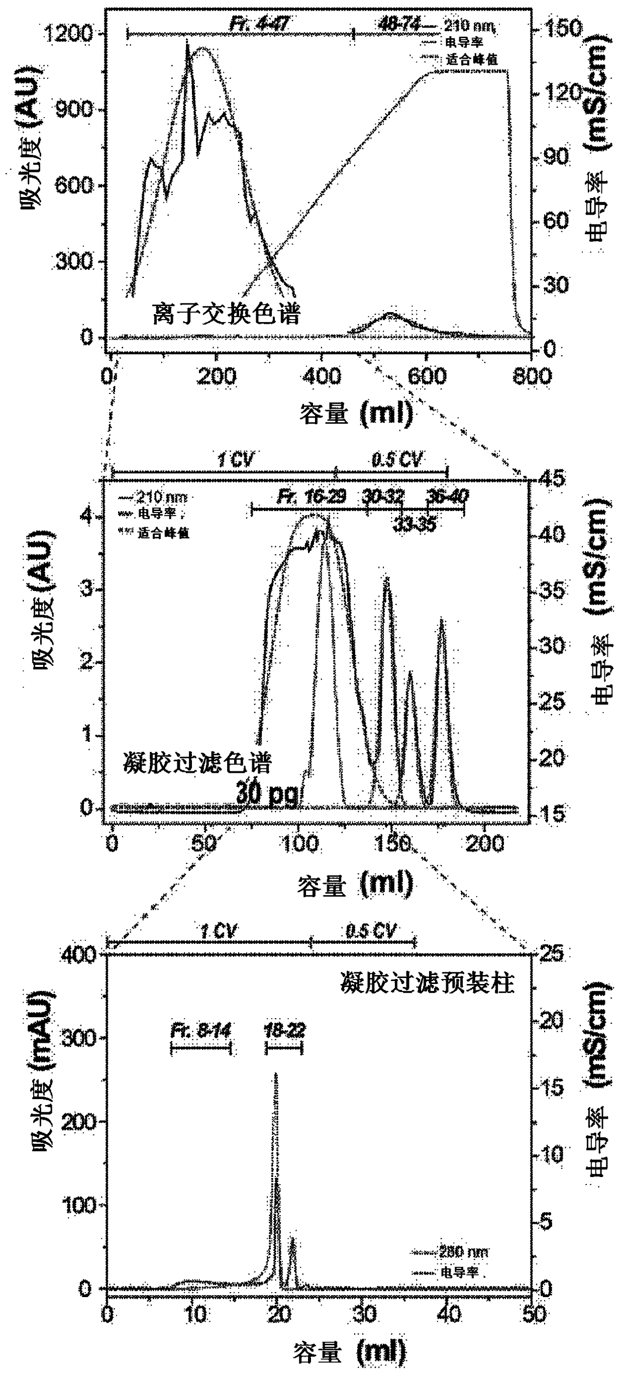 Method for preparing ultra-low-molecular-weight keratin peptide, and use thereof