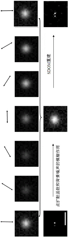 Method for realizing super-resolution dipole orientation analysis