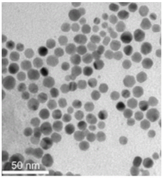 Antibacterial composition