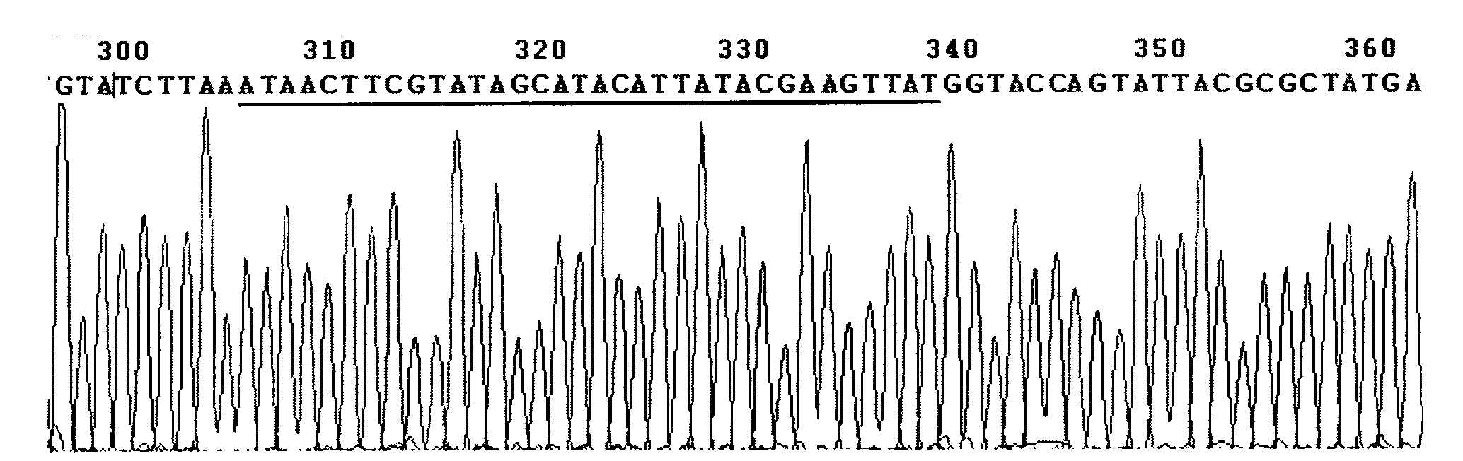 Adenovirus vector for gene therapy on hemophilia B and application thereof