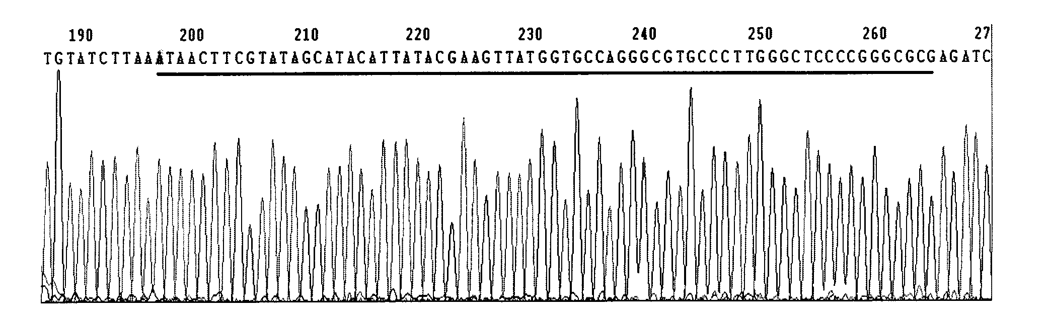 Adenovirus vector for gene therapy on hemophilia B and application thereof