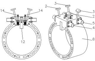 ring cylinder engine