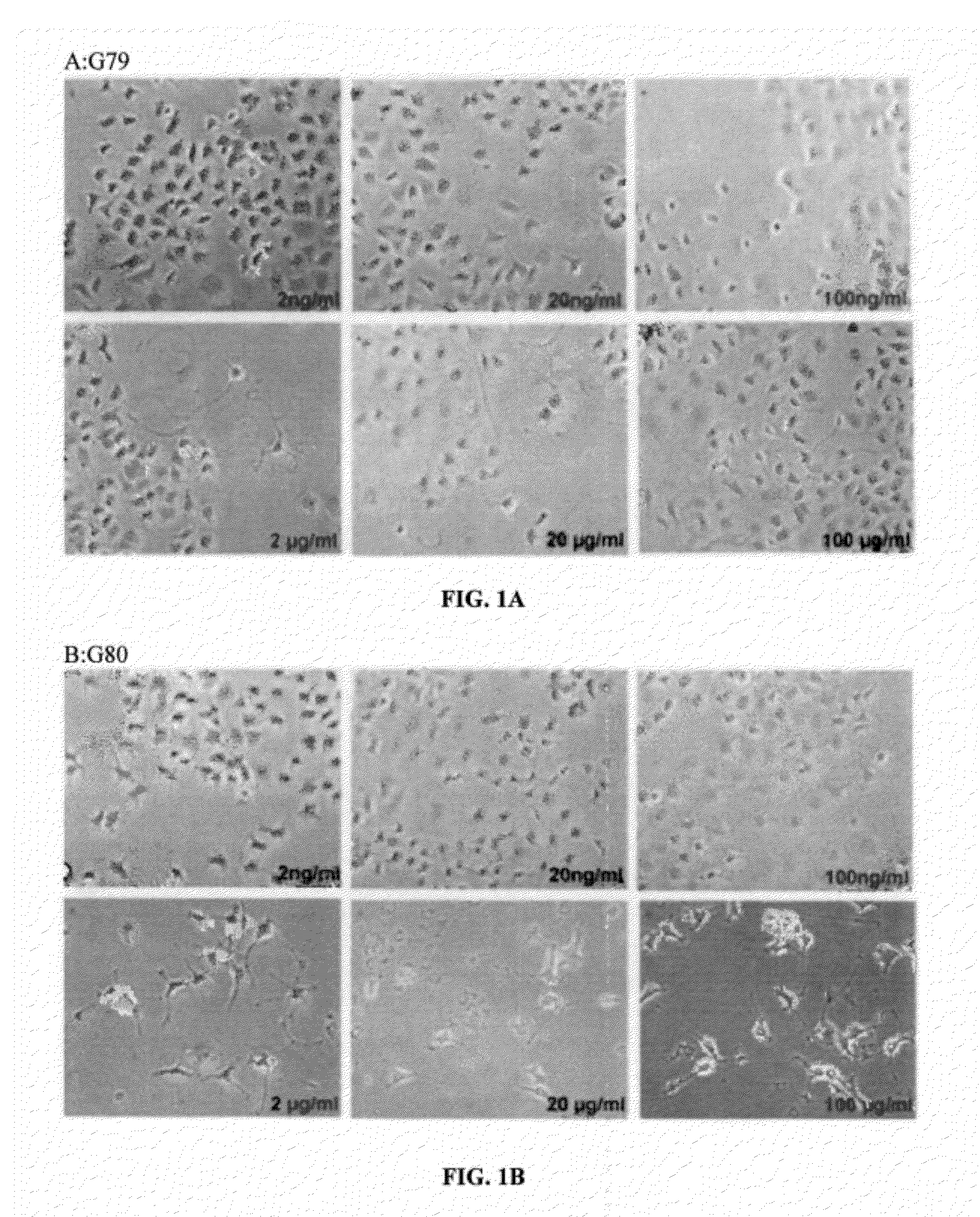 Agonists of Neurotrophin Receptors and Their Use as Medicaments