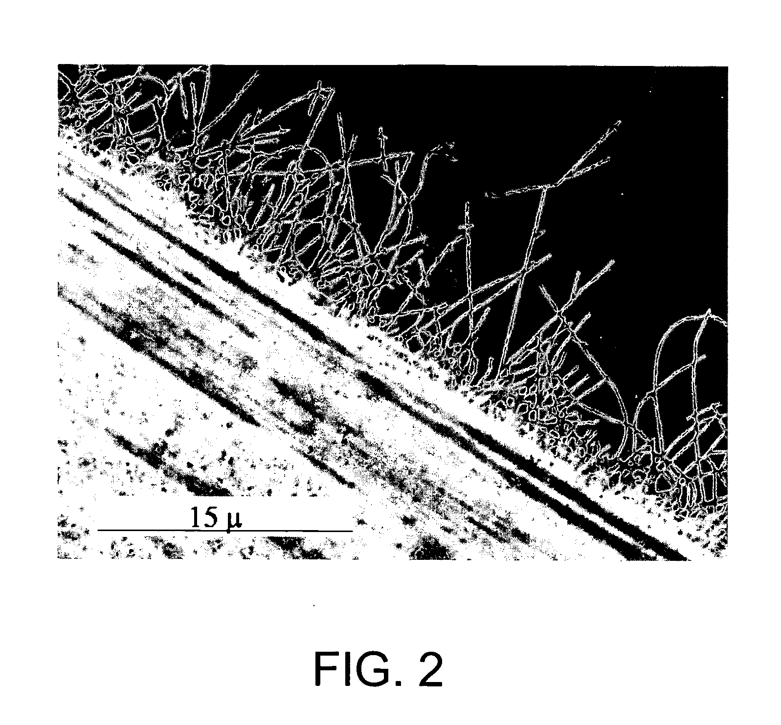Systems and methods for producing single-walled carbon nanotubes (SWNTS) on a substrate