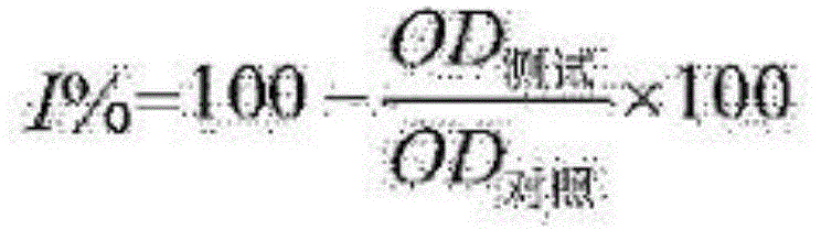 Biological microbial agent for treating municipal sludge and production and use method of biological microbial agent