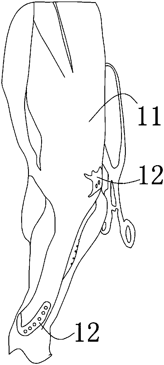Biological specimen serving as surgical instrument and manufacturing method thereof