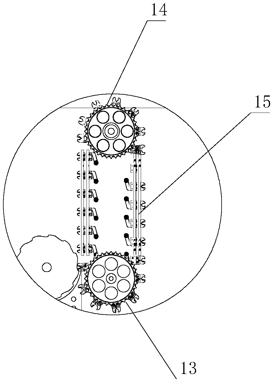 Transparent bottle light inspection system