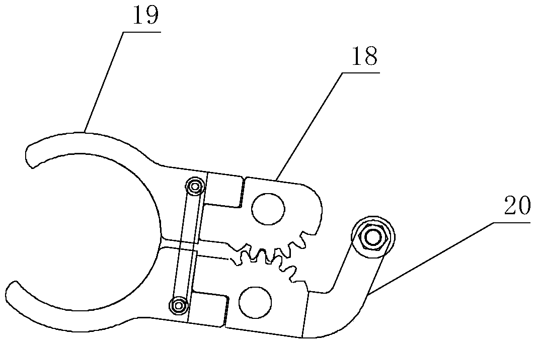 Transparent bottle light inspection system