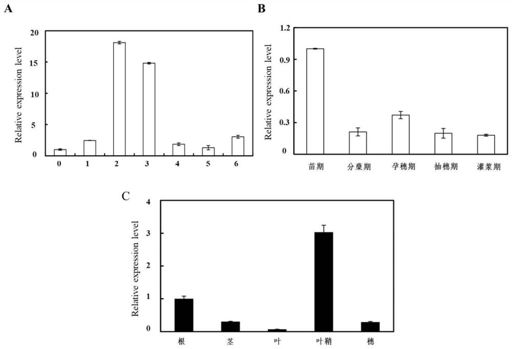 Application of gene OsERF65 related to plant disease resistance