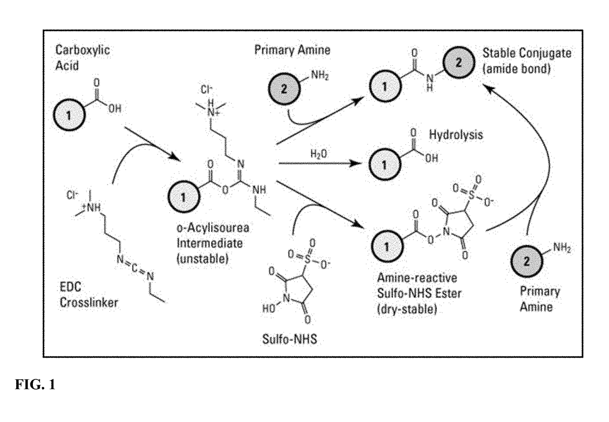 Generation of hemoglobin-based oxygen carriers using elastin like polypeptides