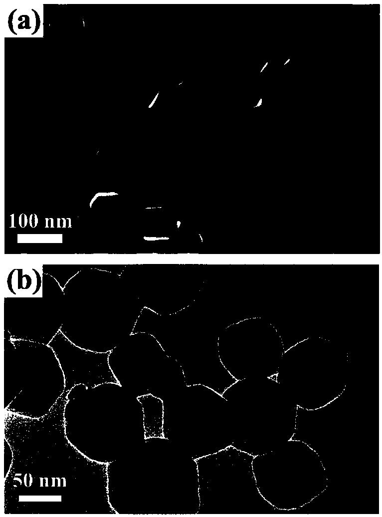 Fluorescent nanoparticles and preparation method thereof