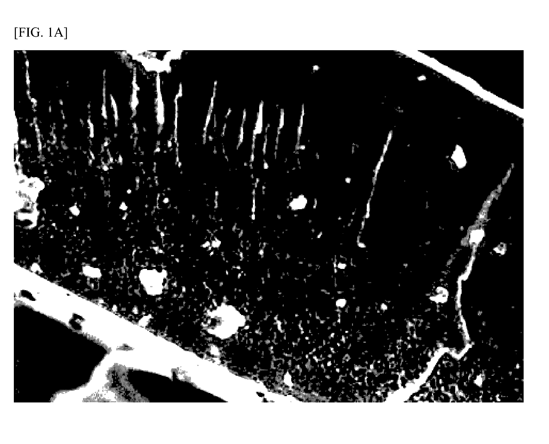 Negative electrode active material for lithium secondary battery