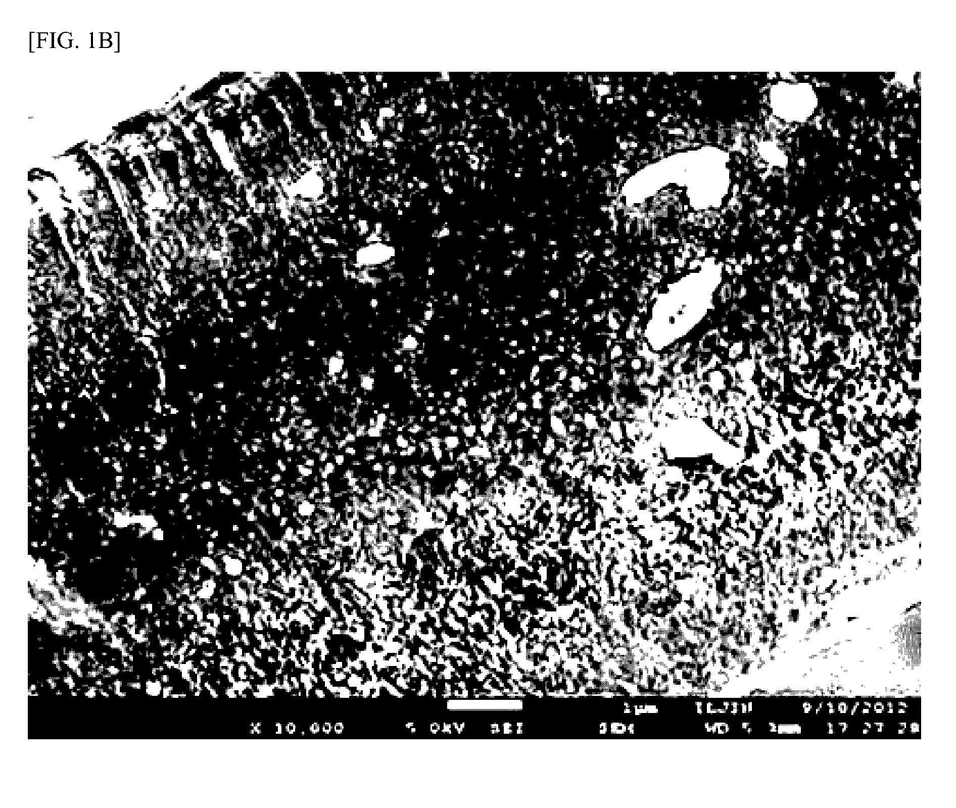 Negative electrode active material for lithium secondary battery