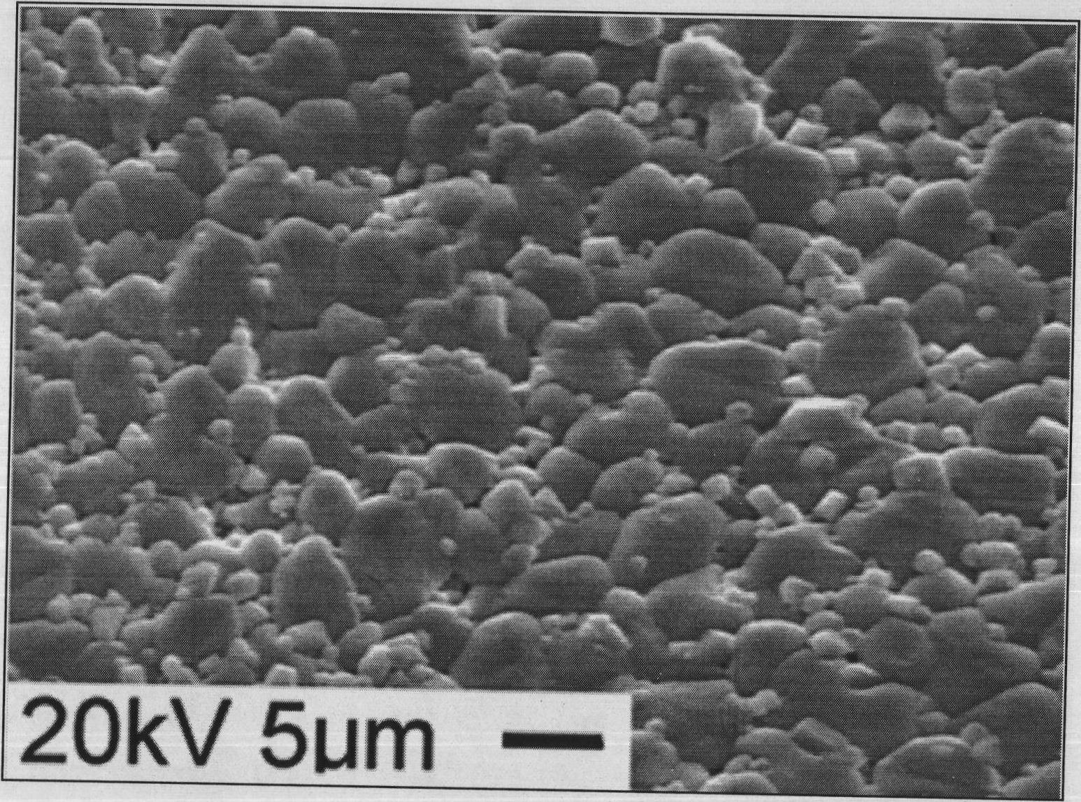 Inorganic adhesive for ZnO voltage sensitive ceramic