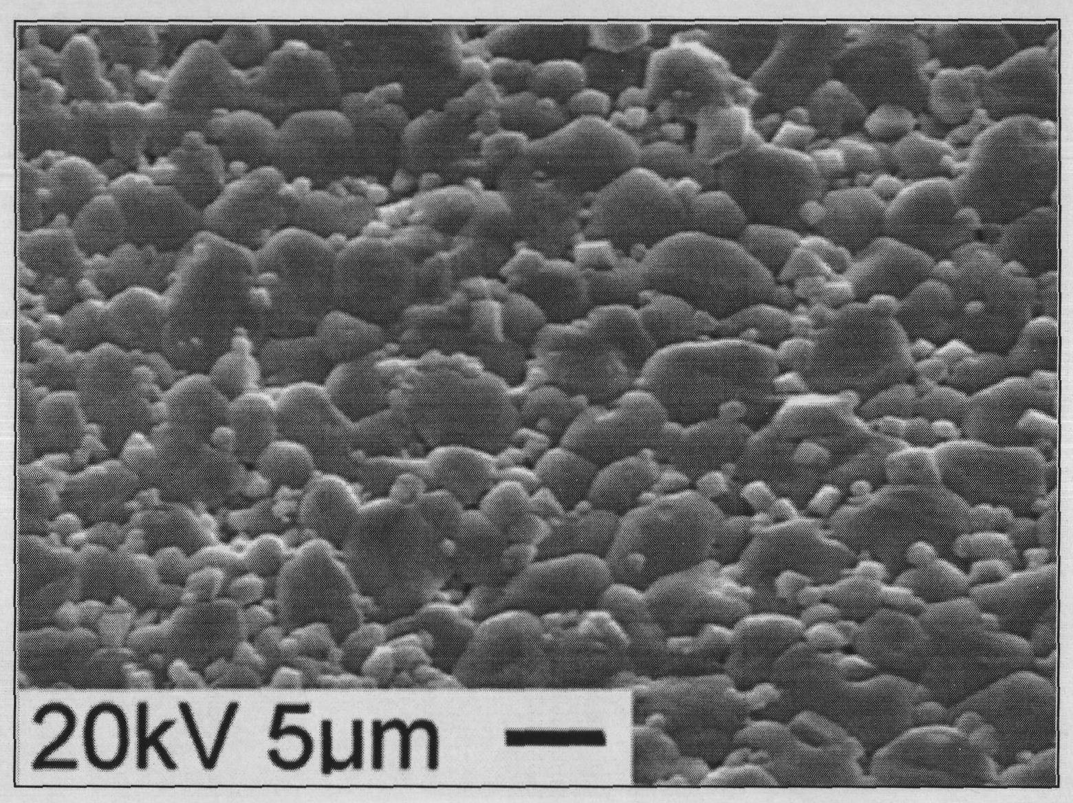 Inorganic adhesive for ZnO voltage sensitive ceramic