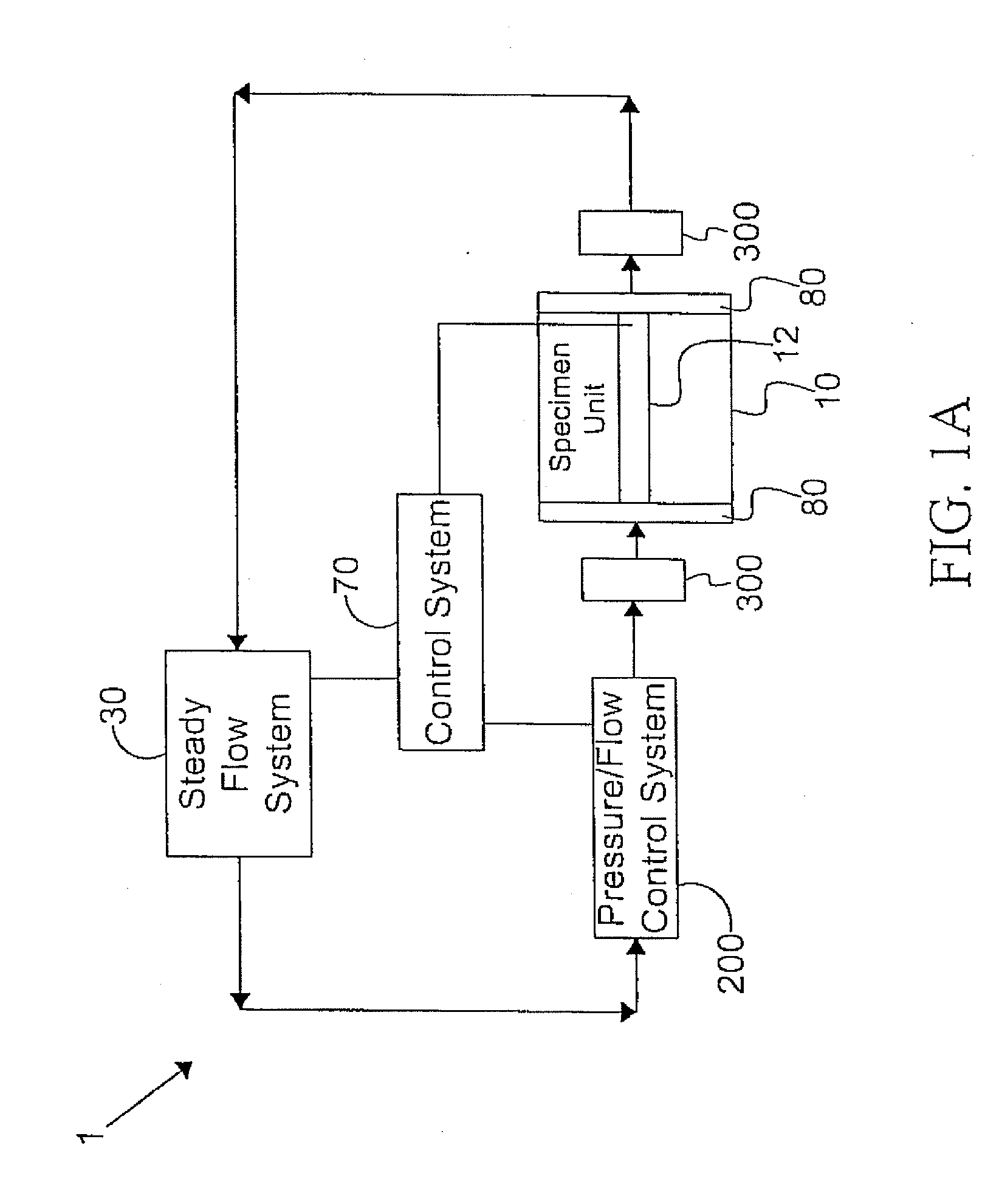 Method of conditioning a hybrid synthetic tubular structure to yeild a functional human hybrid hemodialysis access graft