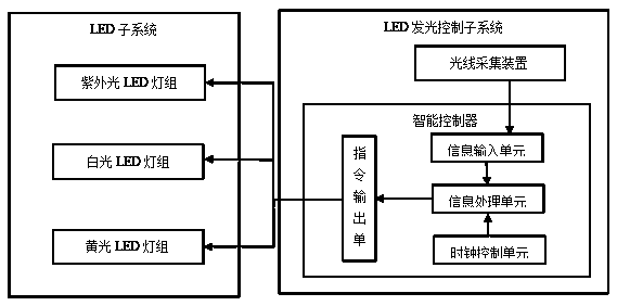 An LED supplementary light system applied to mammal breeding and a method for breeding domestic pigs using the system